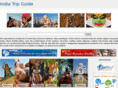 indiatripguide.com