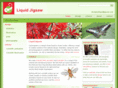 liquidjigsaw.com