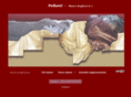maurobaglioni.com