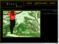 theartofronniehill.com