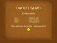 daoudsaaid.com