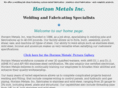 horizonmetals.net