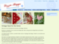 lizziebiggs.co.uk