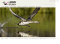 loonstudio.com