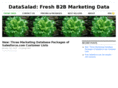 datasalad.com