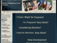daviepregnancycare.com