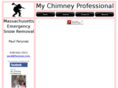 mychimneyprofessional.com