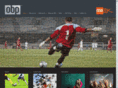onebigpicture.com