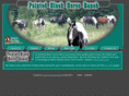 paintedblackhorseranch.com