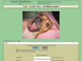 realpitbullforum.com