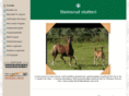 steinsrud-stutteri.net