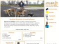 attaboydogwalking.com
