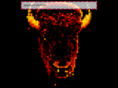 bisonbison.org