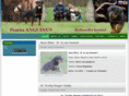 rottweiler-anguinus.com
