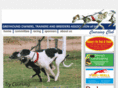 sacoursing.com