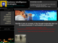 businessintelligencestrategies.com