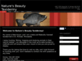 nbtaxidermy.com