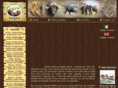 gorillasafariuganda.com
