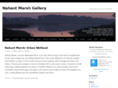 nahantmarshgallery.com