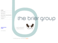 thebriergroup.com