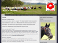 hawaiiquarterhorse.org