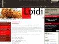 loidi.com