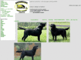 shenandoahlabs.com