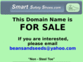 smartsafetyshoes.com