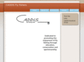 caddisflyfishers.org