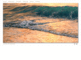 christensenart.com