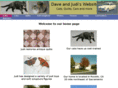fibush.net