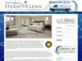 nesteamclean.com