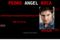 pedroangelroca.com