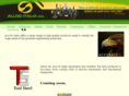 allositalia.com