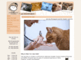 citycatclinic.com