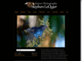 silvermeadows.com