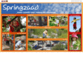 springzaad.nl