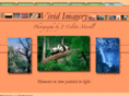 vimagery.com