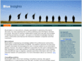 blueinsights.com