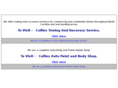 collinsautopaintandbody.com
