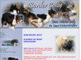 border-collie-chien-troupeaux.com