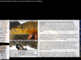 briankimmelflyfishing.com