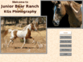 jrbearranch.com