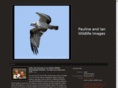 pmgiwildlifeimages.com