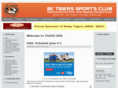 punjabtigersportsclub.com