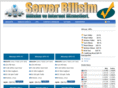serverbilisim.net