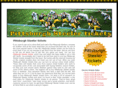 pittsburghsteelertickets.net