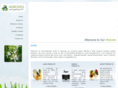 agroveg.com