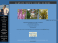 captainbobsrentals.com