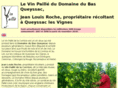 domainedubasqueyssac.com